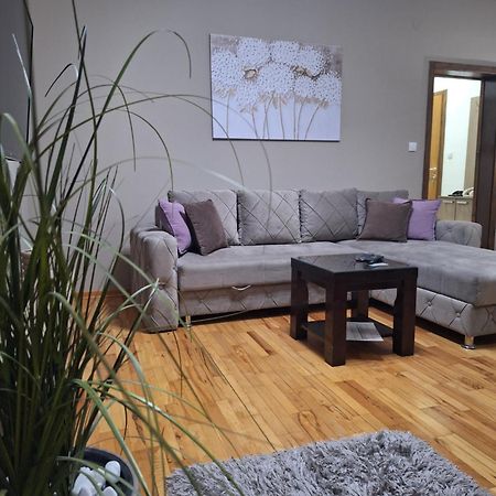 Apartmani Radulovic Vrnjačka Banja Camera foto